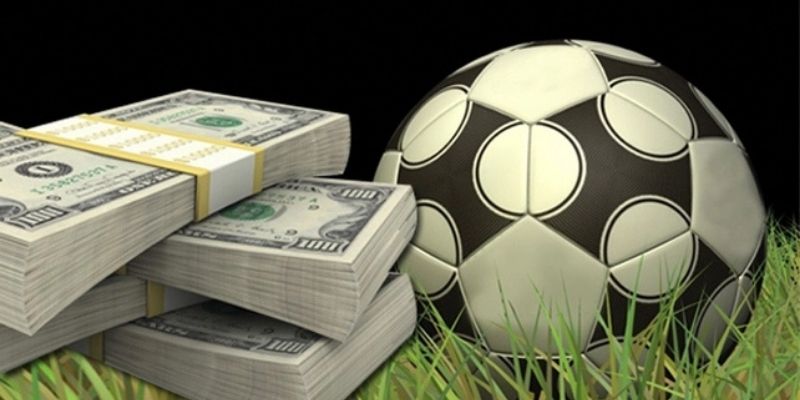 gioi-thieu-tu-a-toi-z-cac-du-lieu-co-ban-ve-keo-phat-den